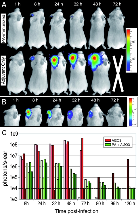 FIG. 4.