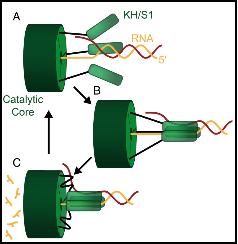 Fig. 4.