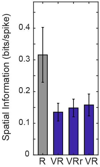 Figure 6—figure supplement 1.