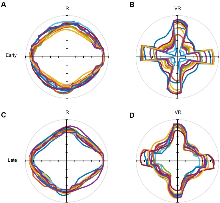 Figure 1—figure supplement 2.