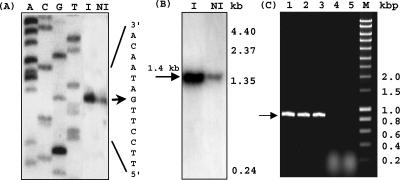 FIG. 4.