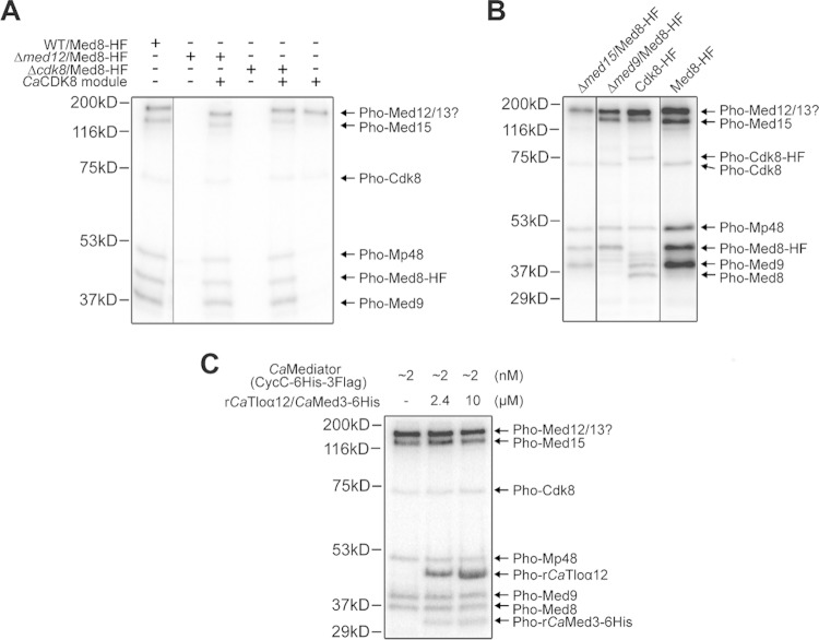 FIG 6