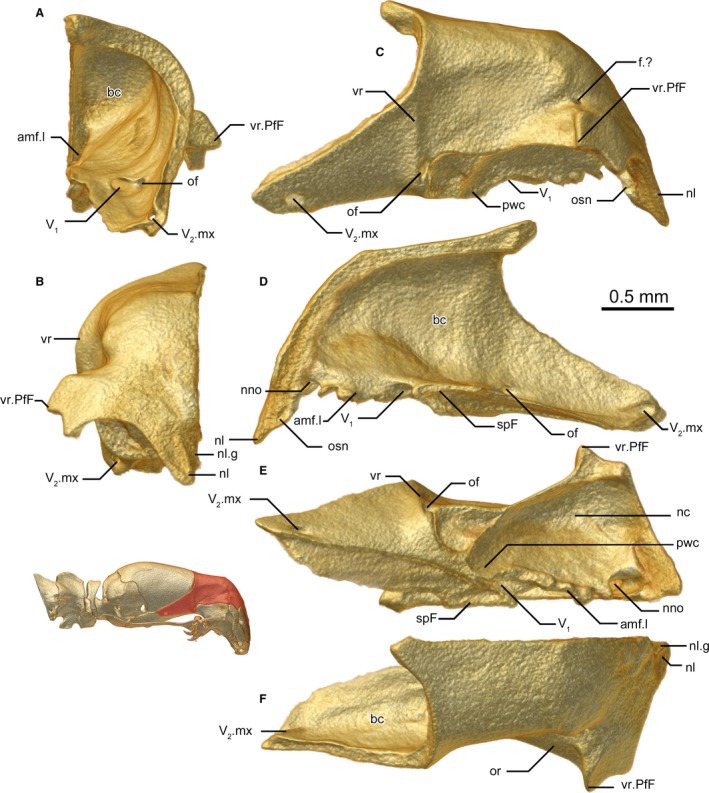 Figure 6