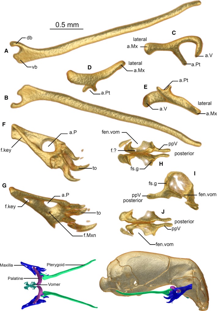 Figure 5