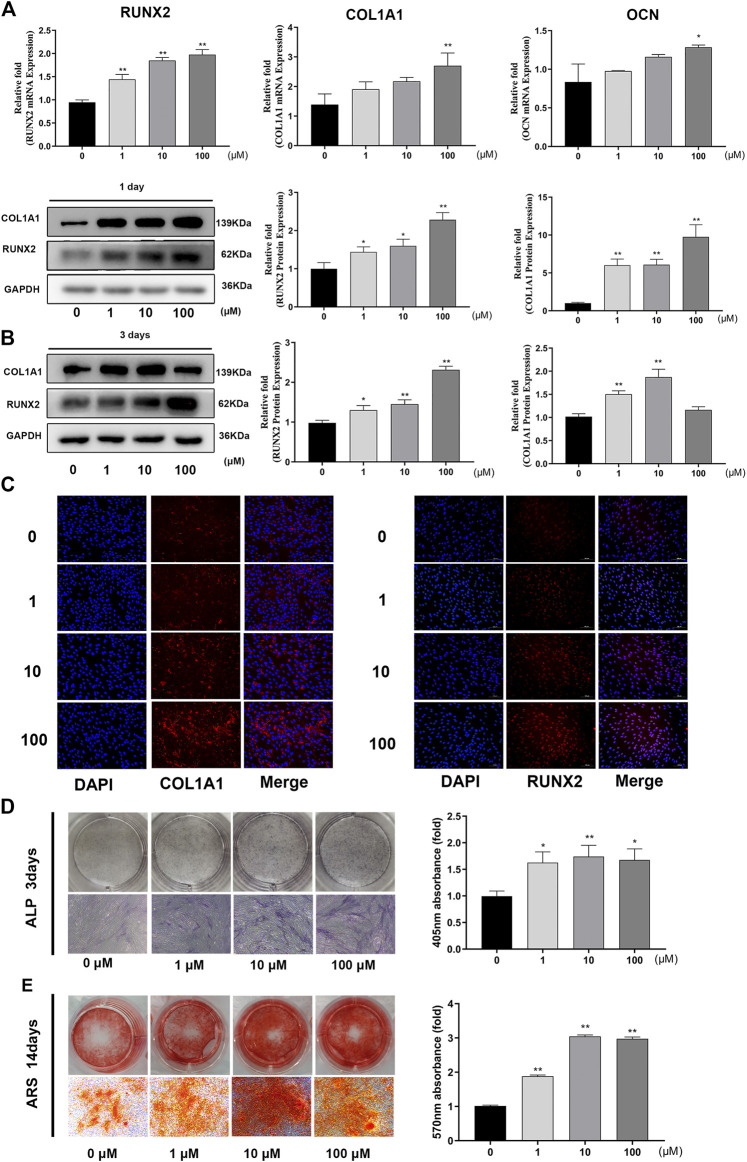 FIGURE 2