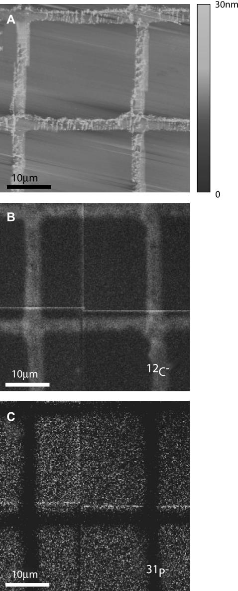 FIGURE 3