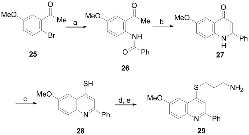 Scheme 5