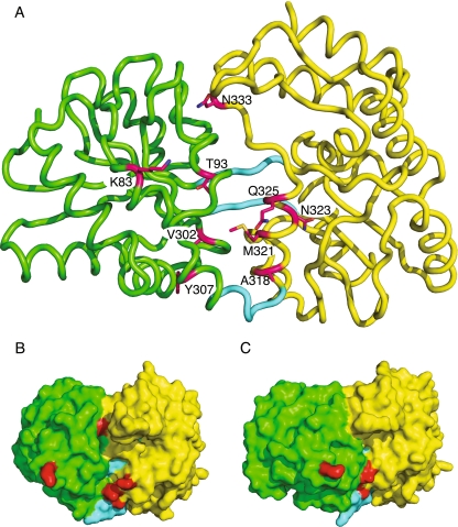 Fig. 4