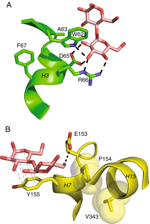 Fig. 6