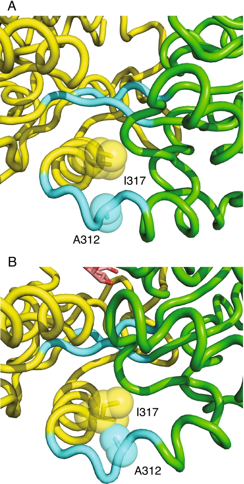 Fig. 5