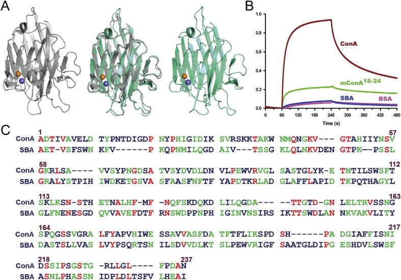 Fig. 4