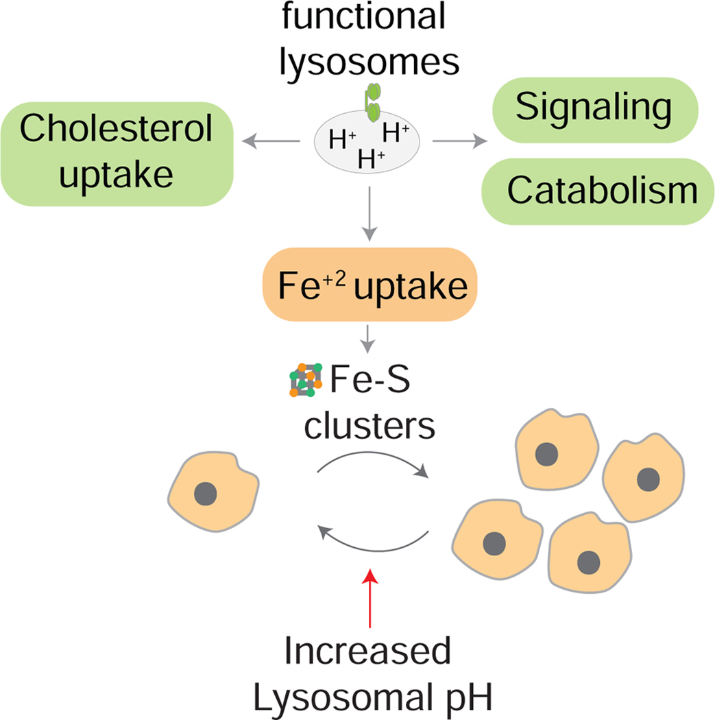 Figure 7: