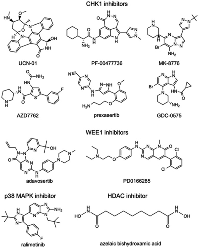 Figure 2.