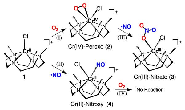 Scheme 3