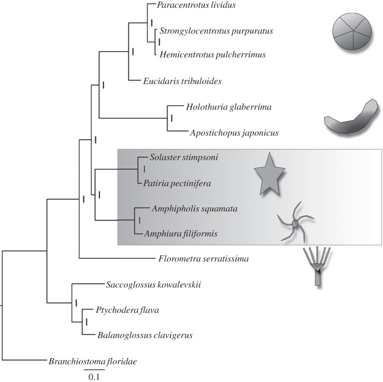 Figure 2.