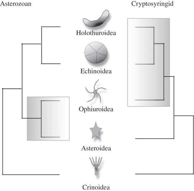 Figure 1.