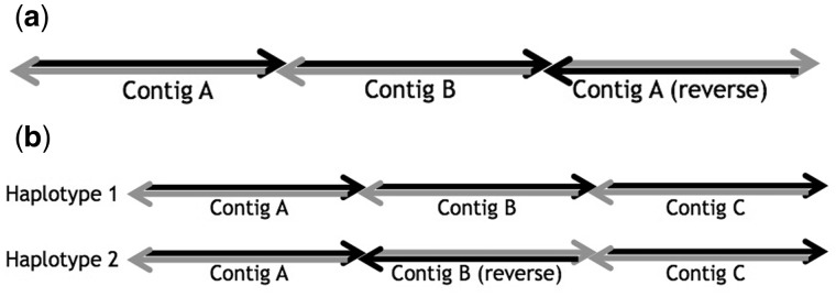 Fig. 6.