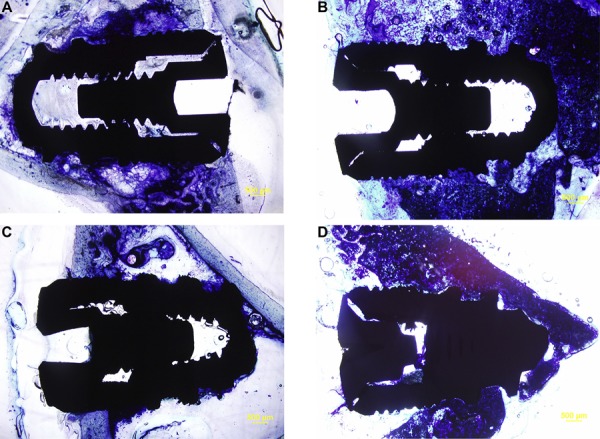 Figure 2A-D