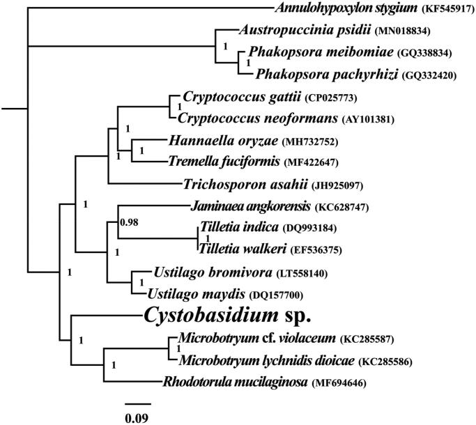 Figure 1.