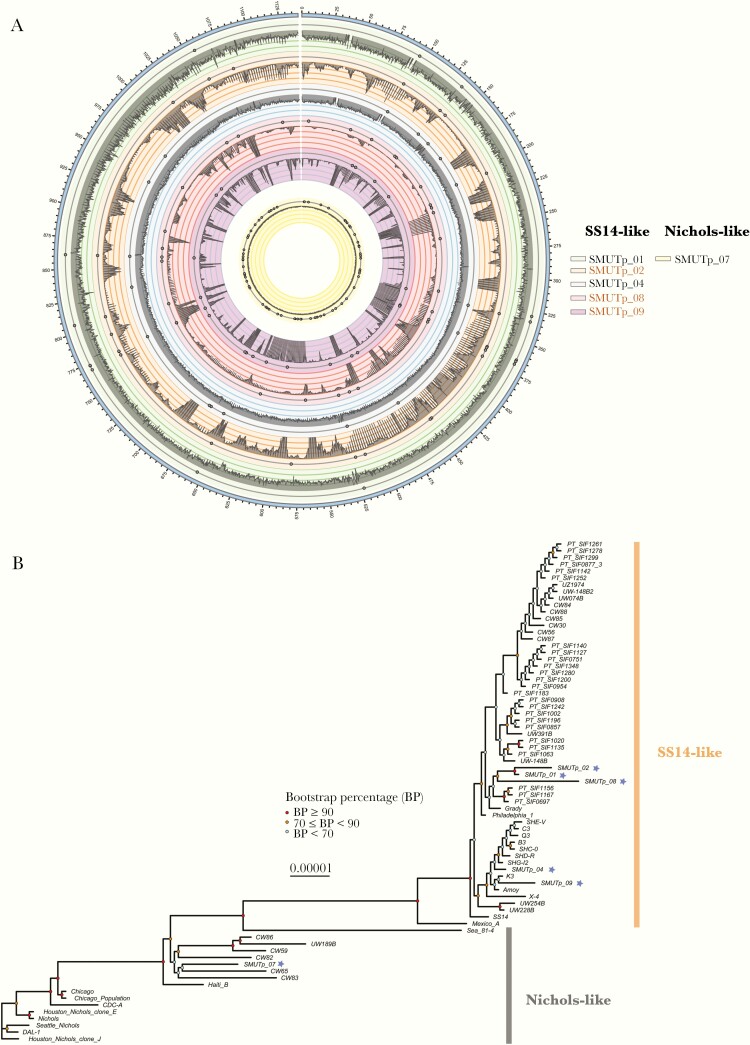 Figure 2.