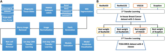 Figure 1