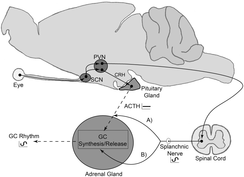 Fig. 3.