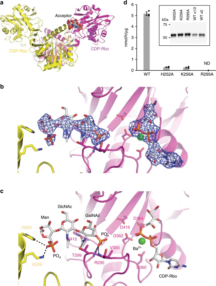 Fig. 4