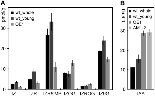 Figure 7.