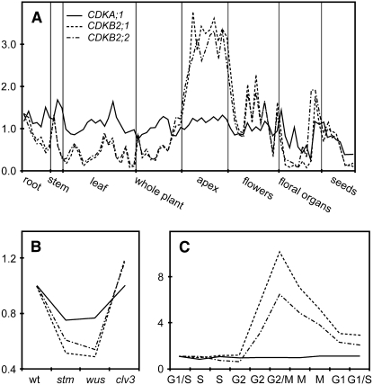 Figure 1.