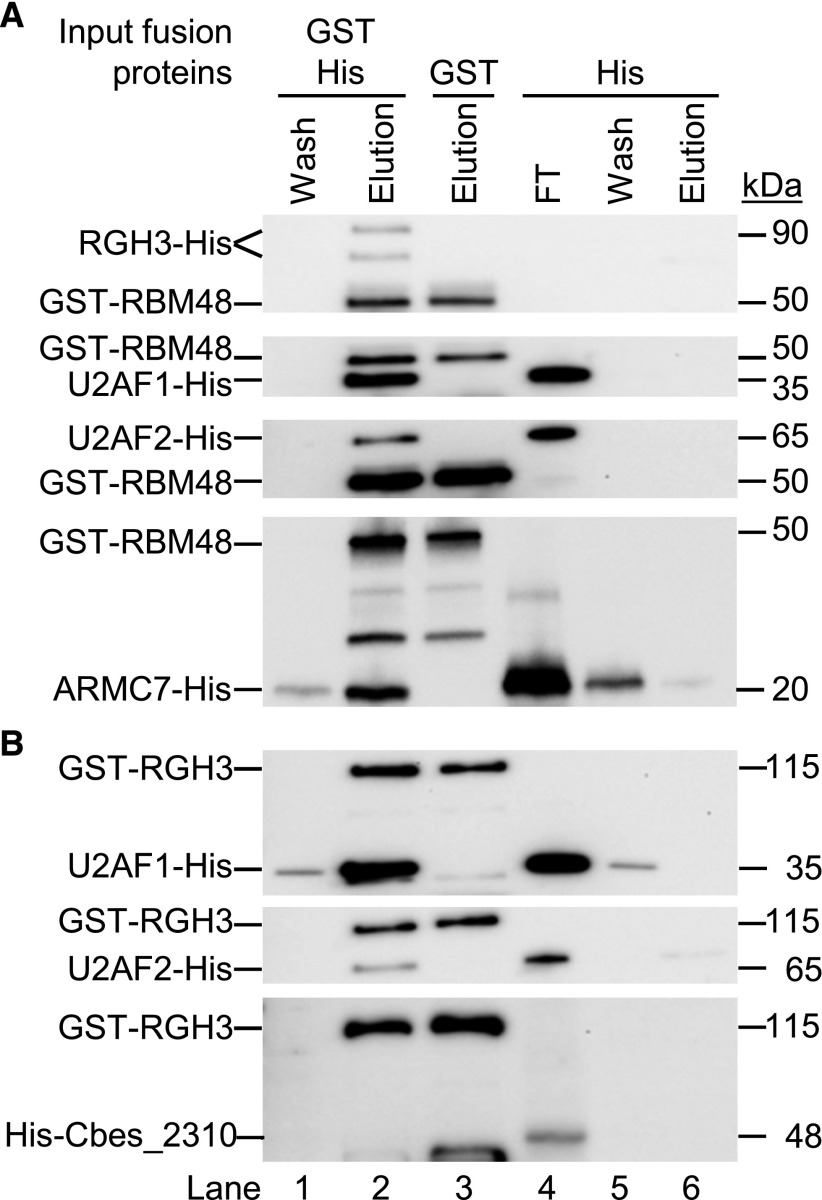 Figure 10.