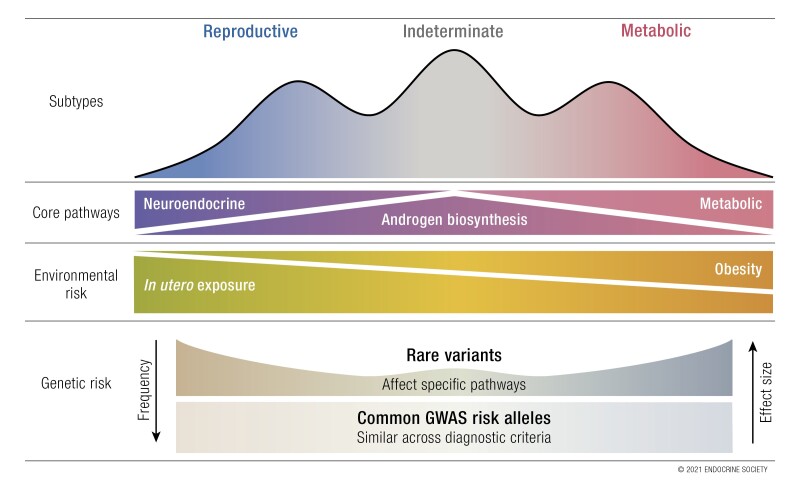 Graphical Abstract