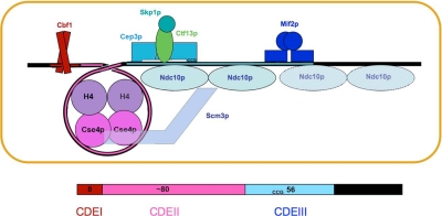 Figure 6.