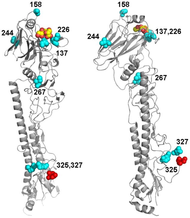 Figure 6