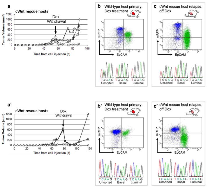 Extended Data Figure 5