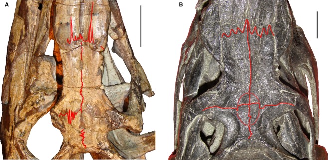 Fig 4