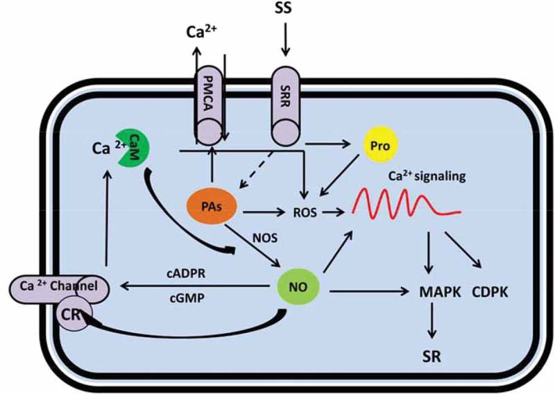 Figure 3.