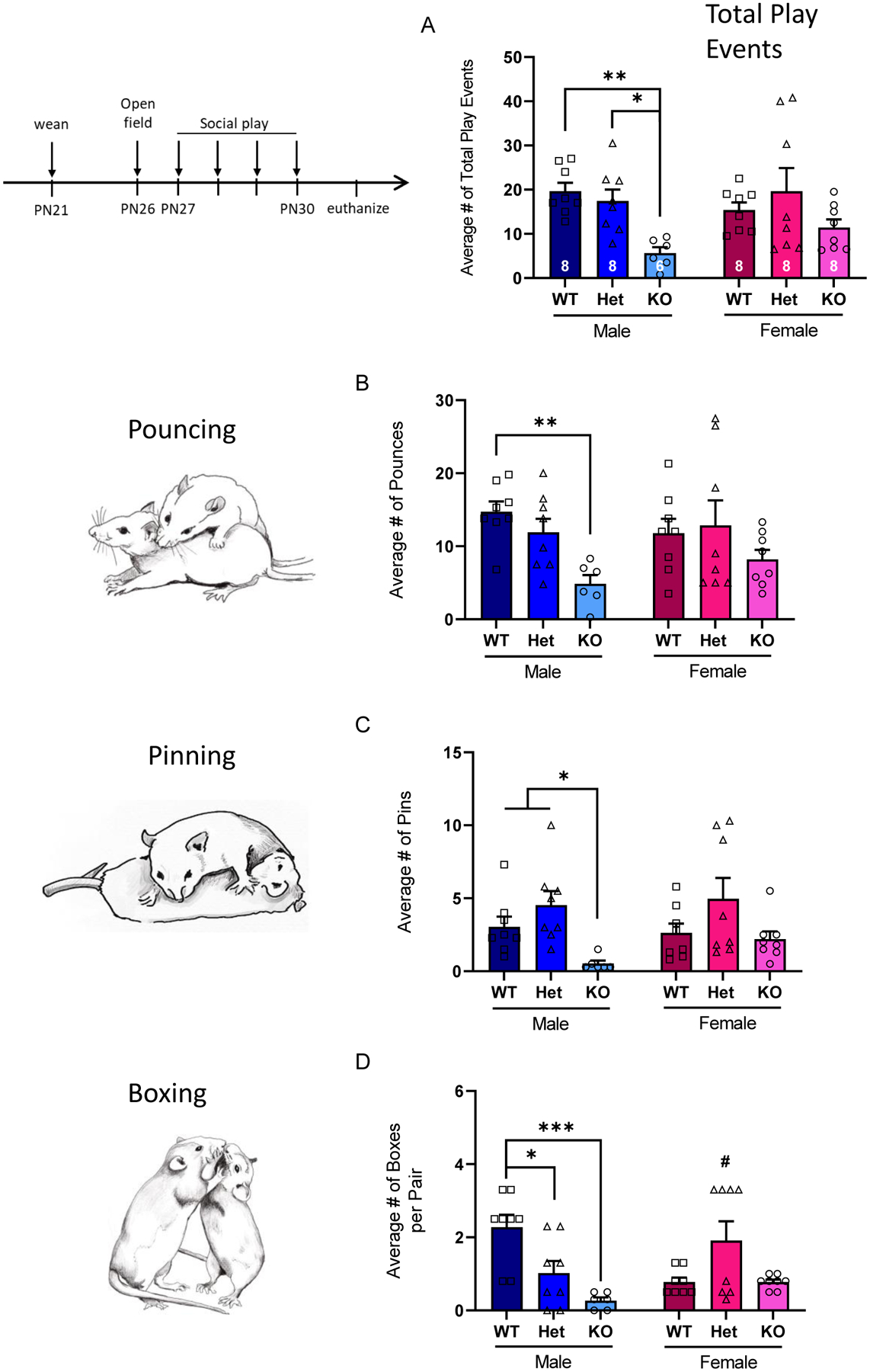 Figure 4: