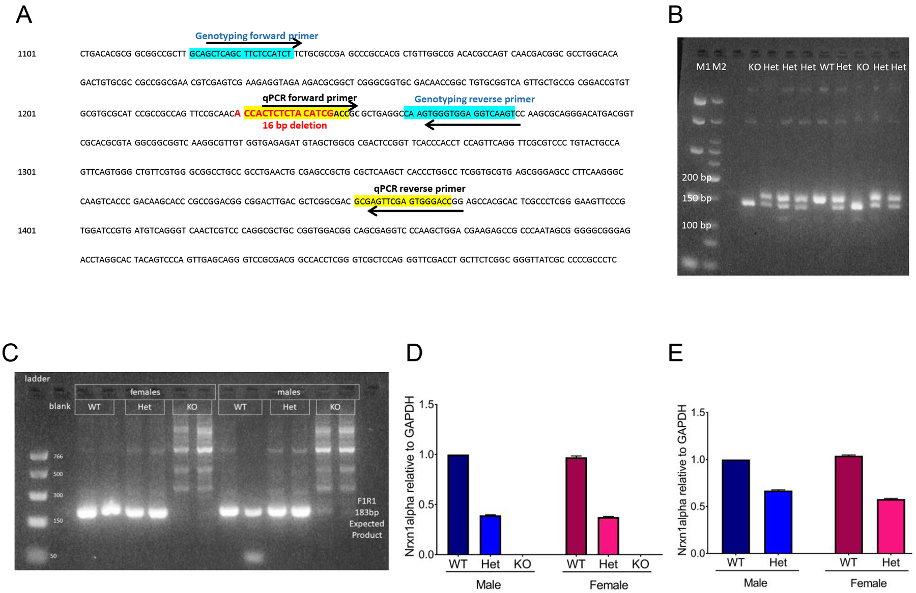 Figure 1: