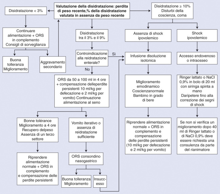 Figura 1