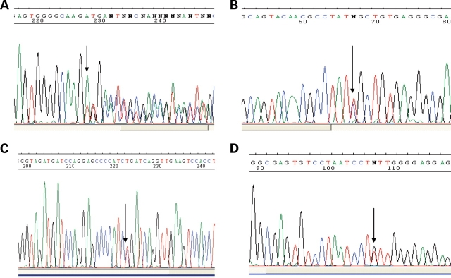 Figure 2.