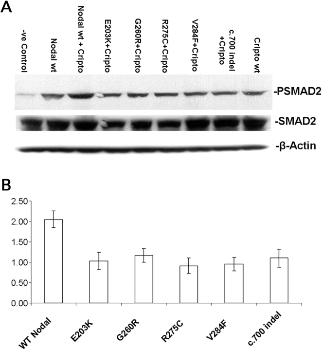 Figure 5.