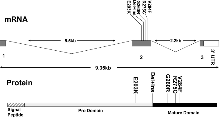 Figure 1.