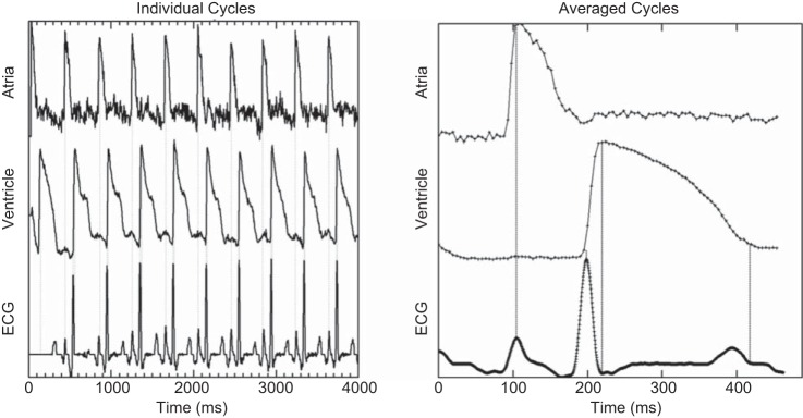 Fig. 9.