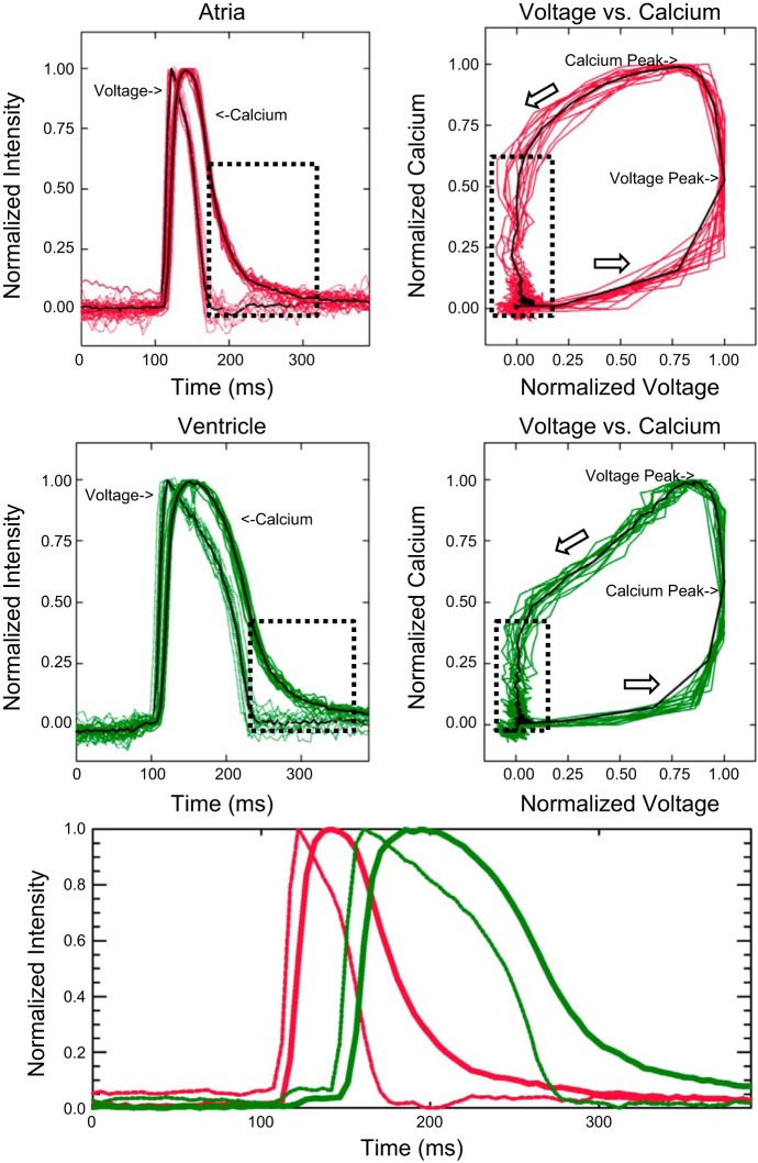 Fig. 10.