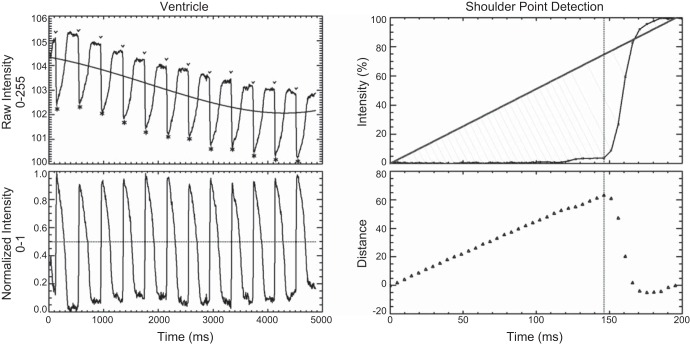 Fig. 8.