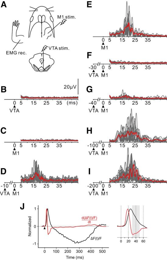 Figure 10.