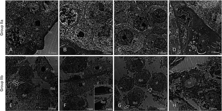 Fig. 9