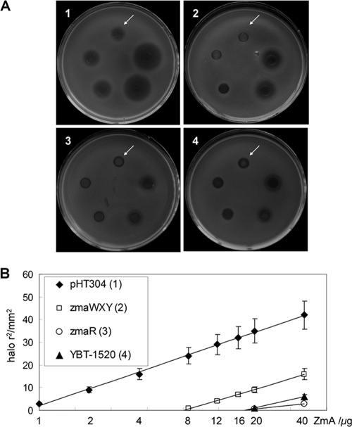 Fig. 4.