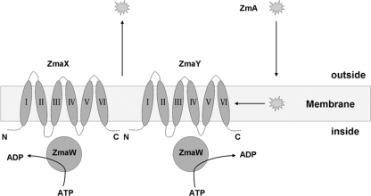 Fig. 2.