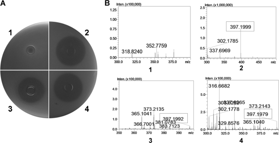 Fig. 3.